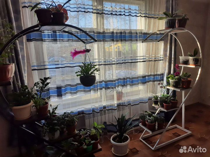 Полка для цветов
