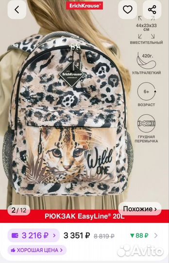 Школьный ранец