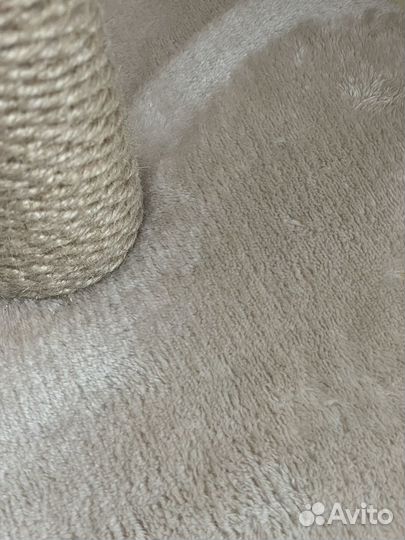 Когтеточка для кошек новая