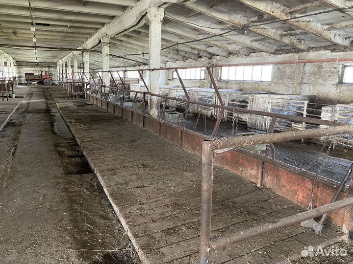 Продам животноводческий комплекс большой дом