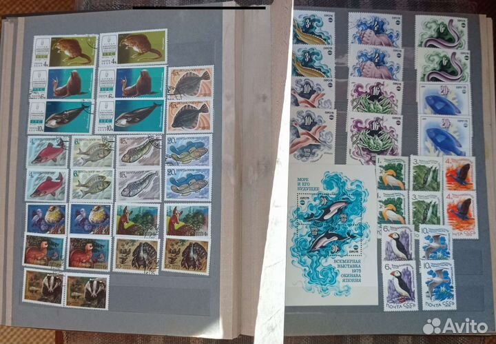 Альбом с марками СССР с 1957 по 1993 Фауна