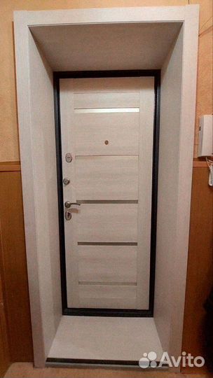 Дверь входная аргус