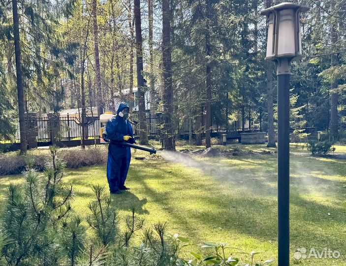 Обработка от ос, шершней, комаров, мошек