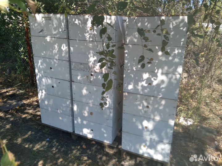 Корпуса Рута