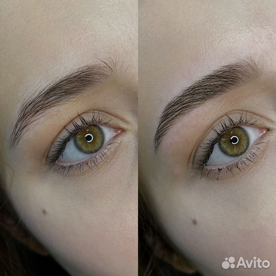 Брови / Модель / Долговременная укладка