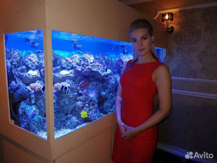 Чистка и обслуживание аквариумов.Срочный выезд