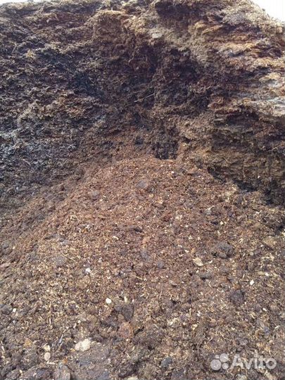 Навоз конский