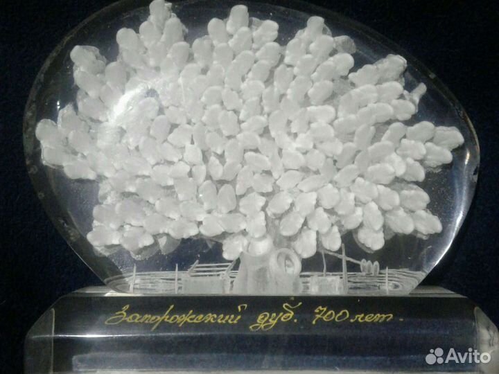 Сувенир запорожский дуб.700лет