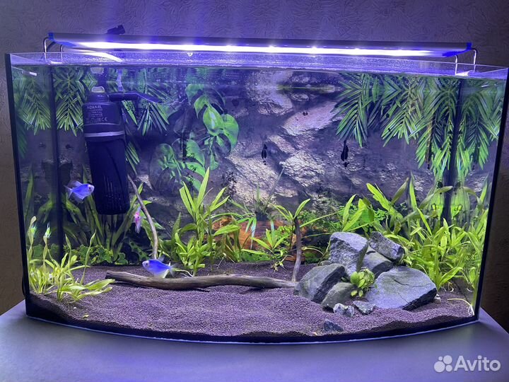 Аквариум 60л