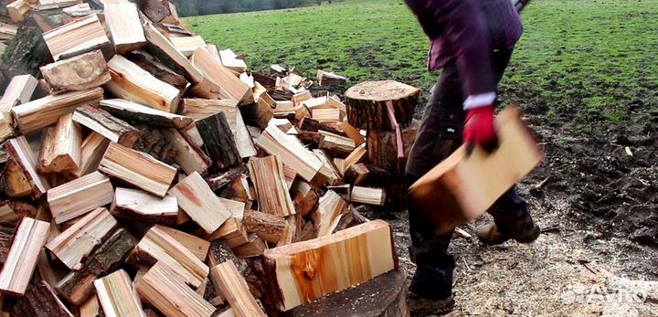 Дрова осина ольха