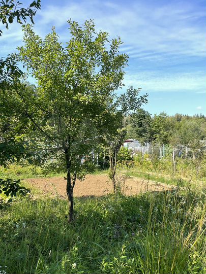 Участок 9,4 сот. (ИЖС)