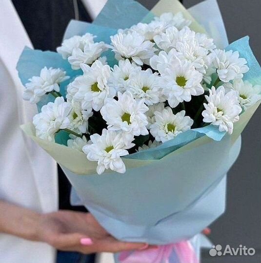 Хризантема