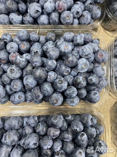 Голубика Сладкая