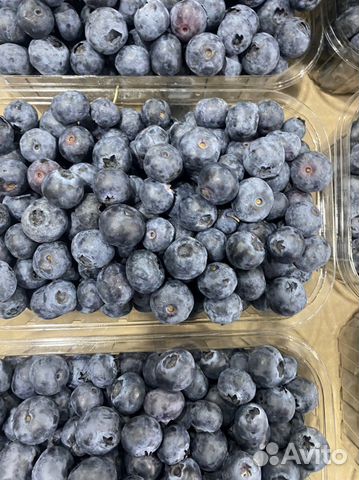 Голубика Сладкая
