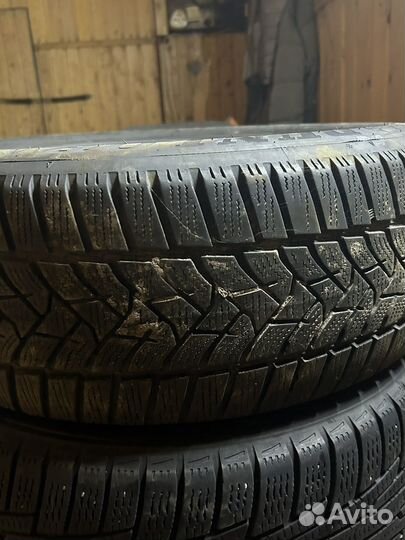 Dunlop Winter Sport 5 205/55 R16