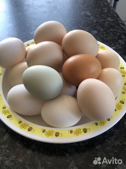 Яйцо домашнее куриное