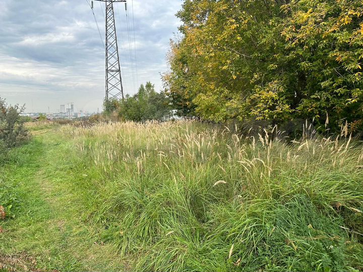 Участок 10 сот. (ИЖС)