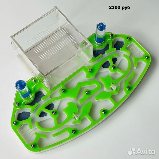 Муравьиная ферма формикарий