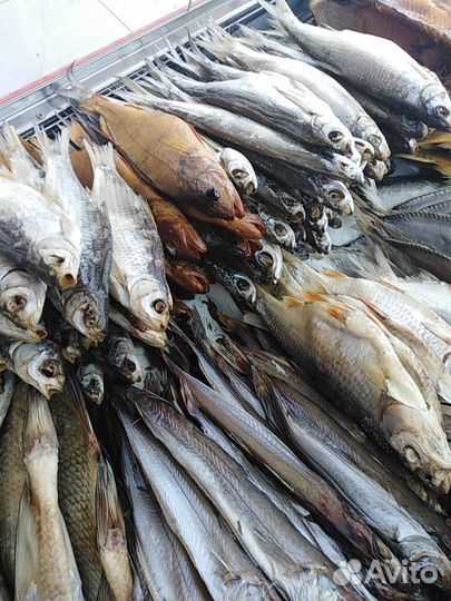 Раки живые и рыба в ассортименте