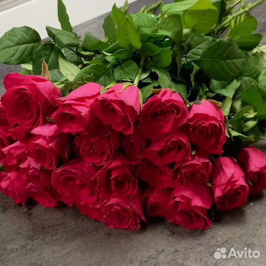 Розы ярко малиновые