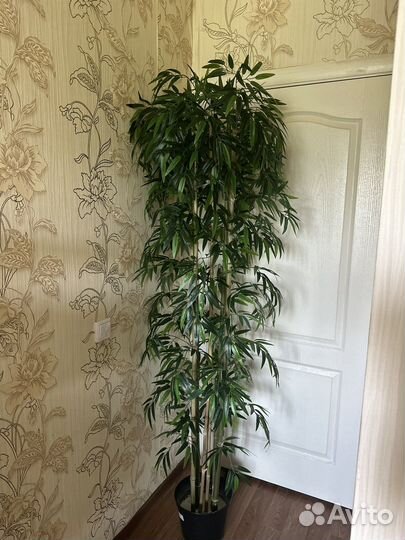 Искусственное дерево бамбук