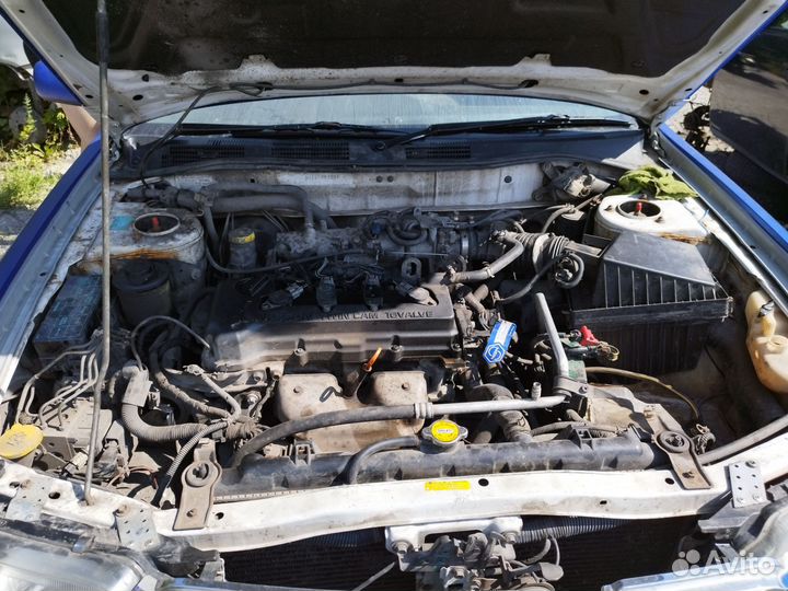 В разбор Nissan bluebird 1998 год