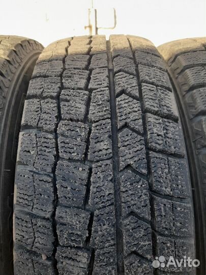 Dunlop Winter Maxx 175/65 R14