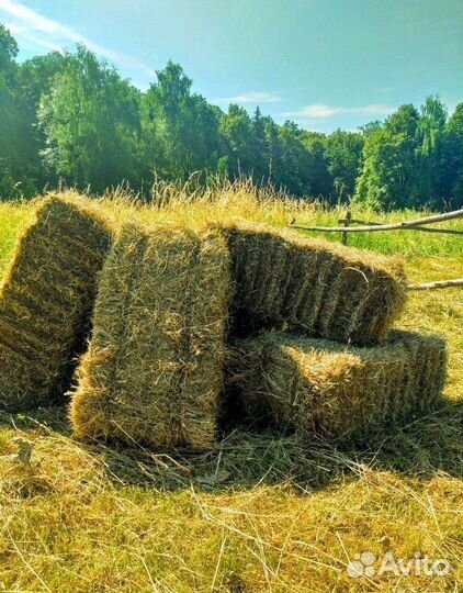 Сено рулоны 145