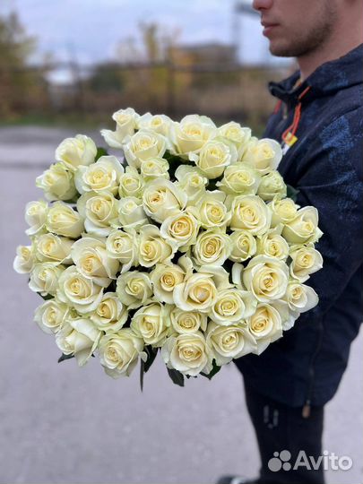 Голландская белая роза от 15шт 70см