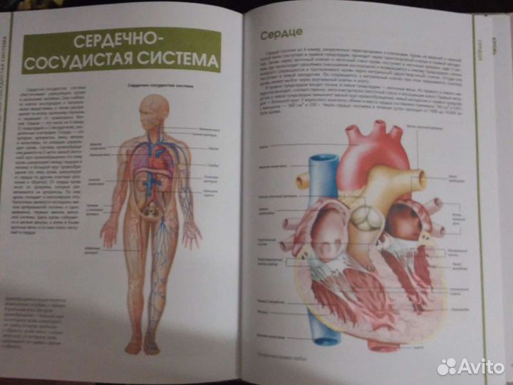 Продам Большой иллюстрированный атлас анатомии чел