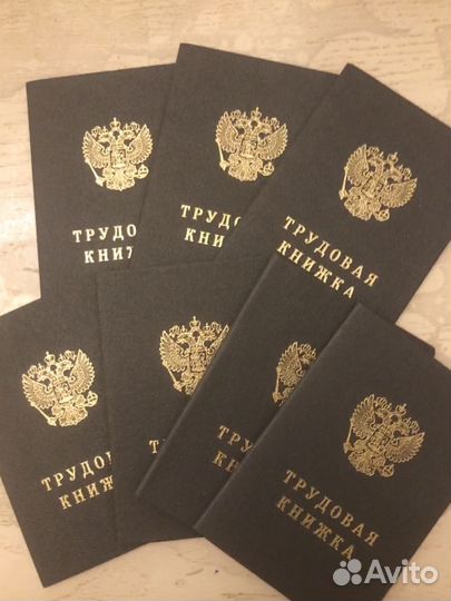 Трудовые книжки серии TK-V