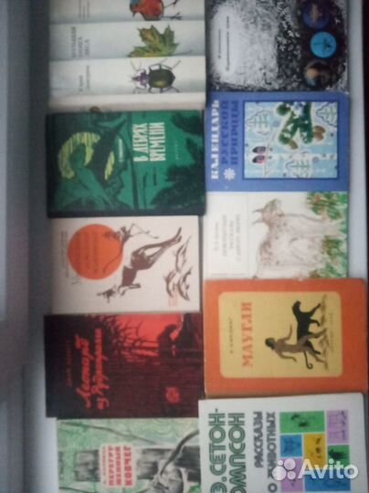 10 книг о животных