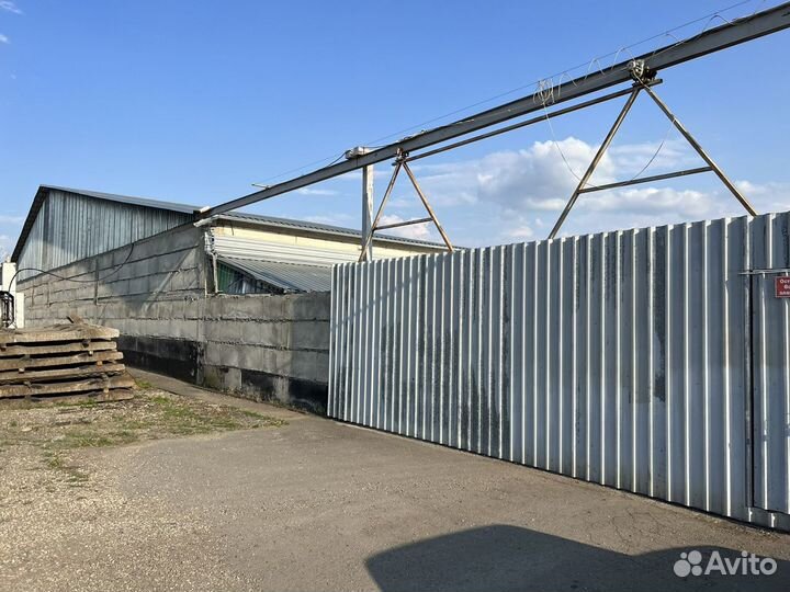 Оказывает услуги по сушке и хранению кукурузы