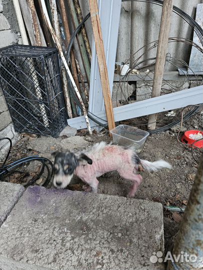 Нужна передержка