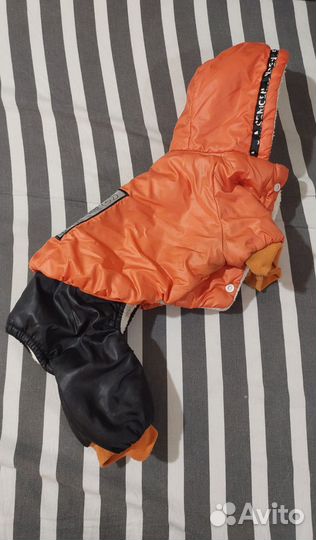 Зимний костюм для собак