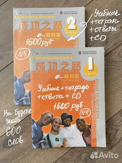 Китайский язык книги Road to success