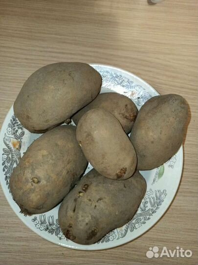 Продам картофель на еду