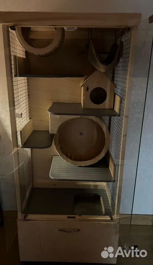 Отдам Дегу в добрые руки + клетка