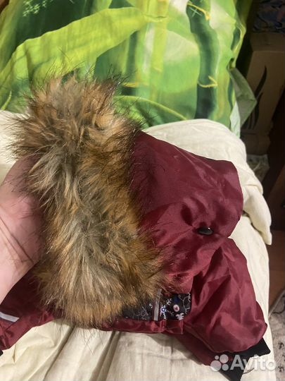 Одежда для собак