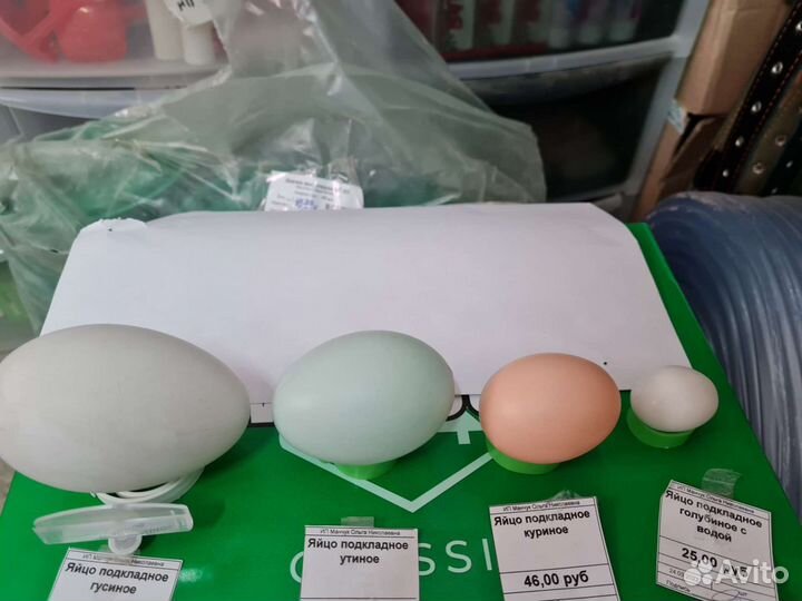 Яйцо подкладное куриное