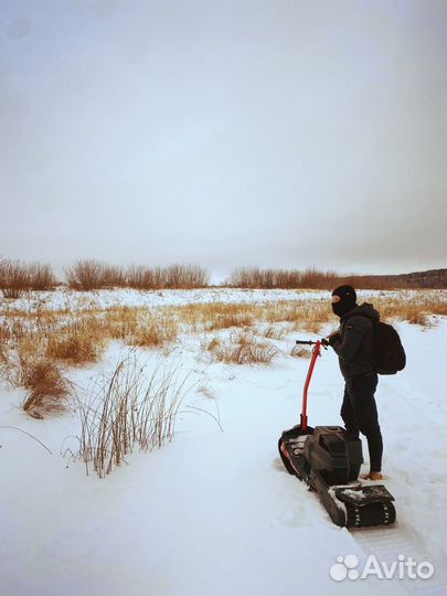 Прокат, аренда снегохода