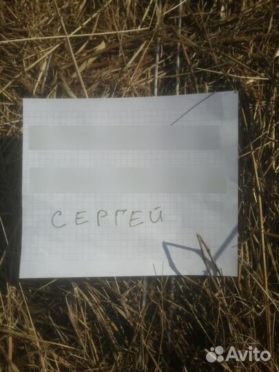 Пресс-подборщик БобруйскСельмаш ПРФ-180, 1990