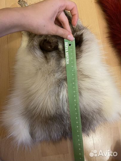 Писец шкурка