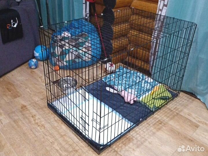 Клетки для крупных собак №6