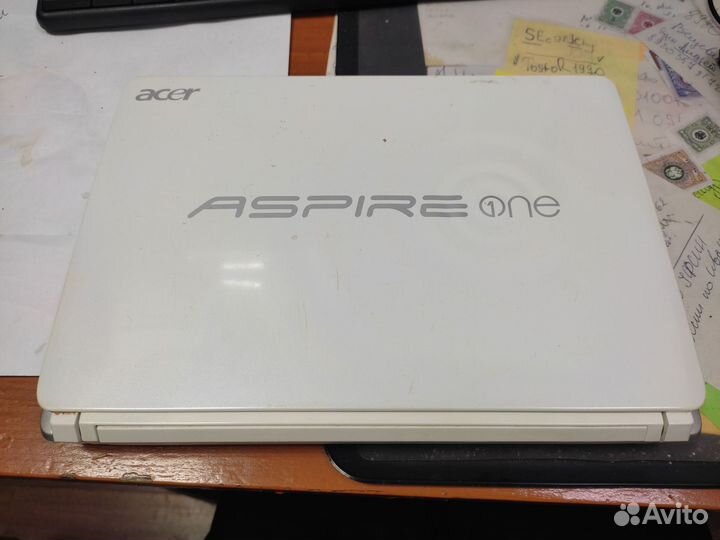 Acer