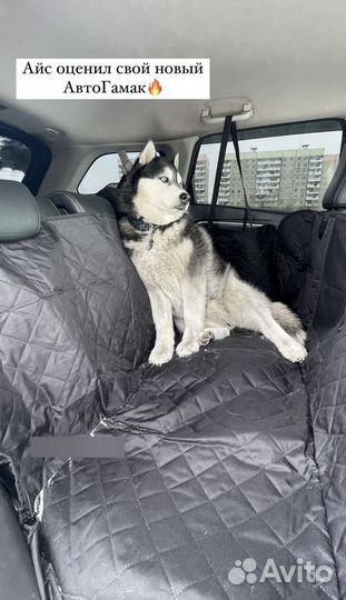 Автогамак для перевозки собак