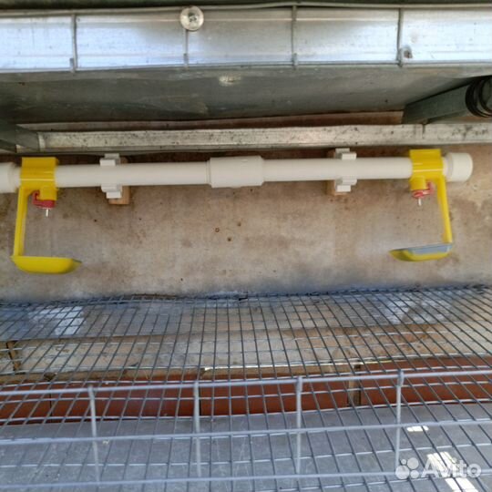 Клетки для перепелов