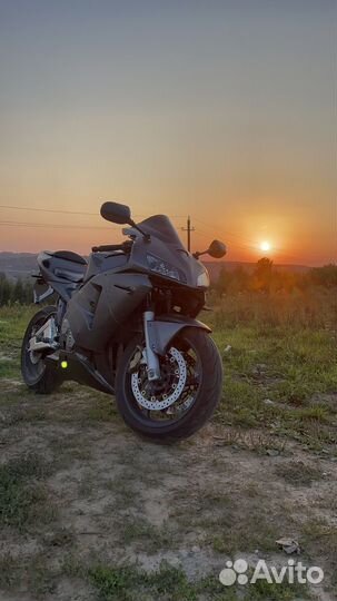 Honda cbr 600 rr