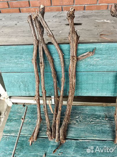 Виноградная лоза и коряги для декора