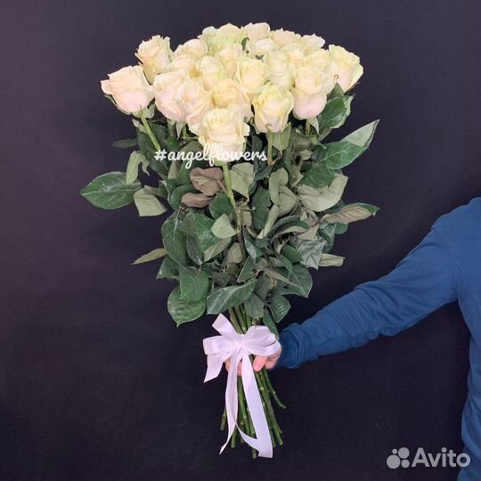 Роза Мондиаль